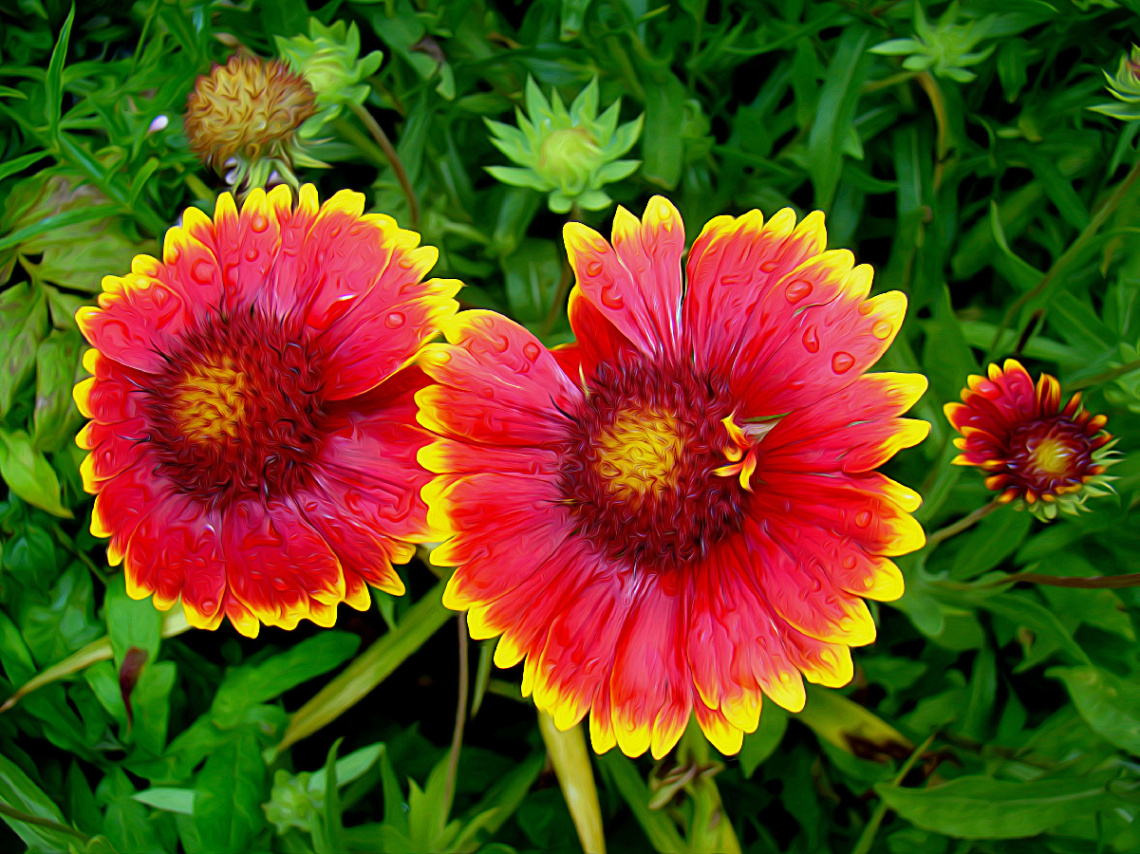 BLÜTEN