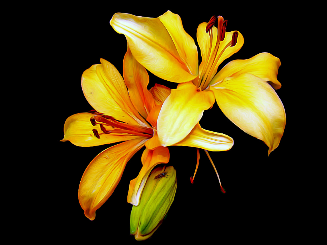 BLÜTEN