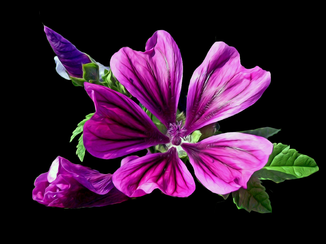 BLÜTE