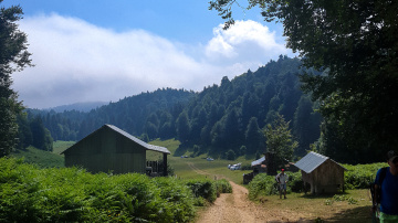 Sakarya /Acelle yaylası 