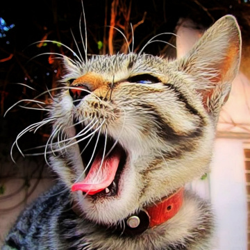 What a yawn!! 