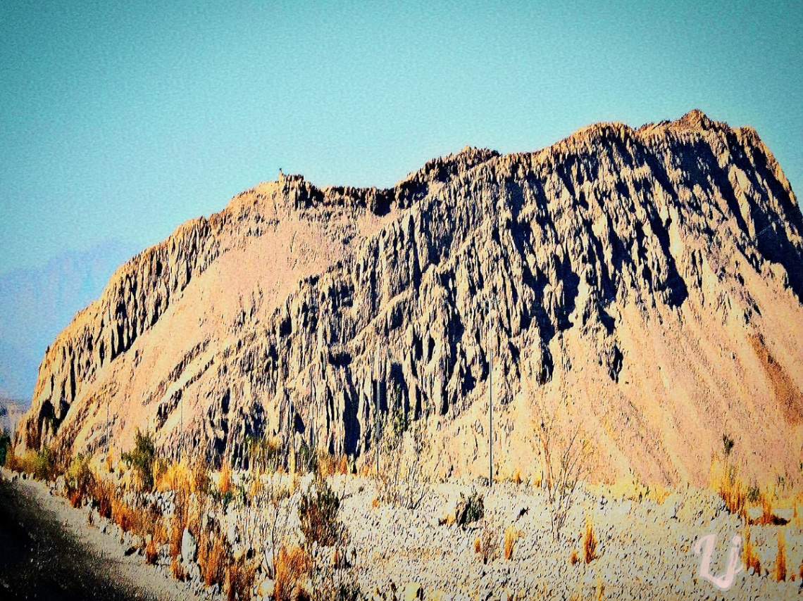 Rugged Beauty 