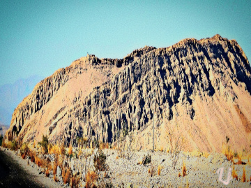 Rugged Beauty 