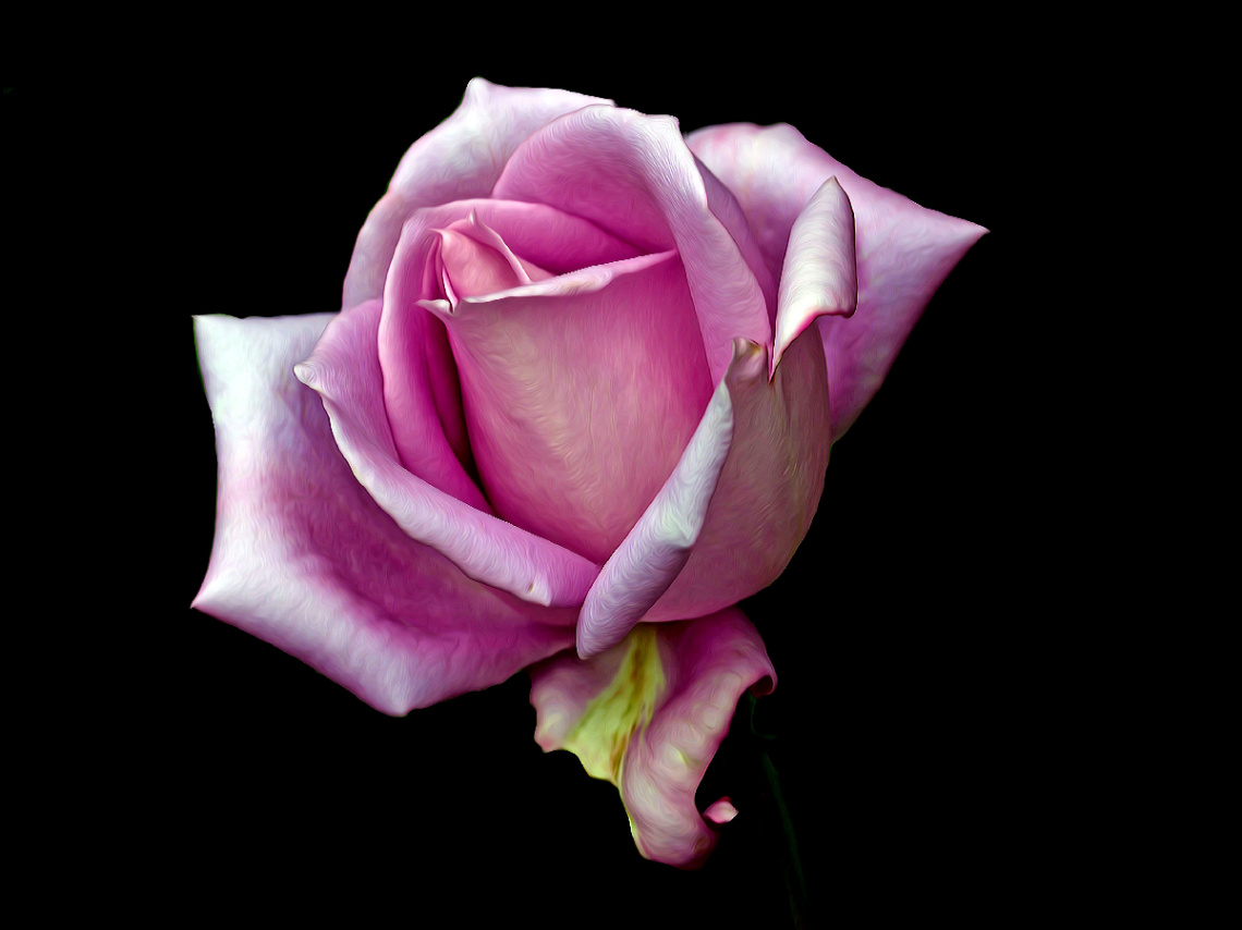 BLÜTE
