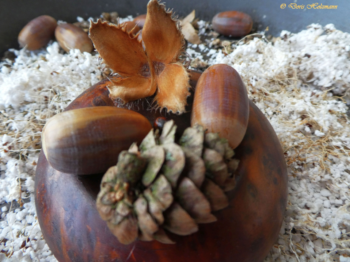 still life