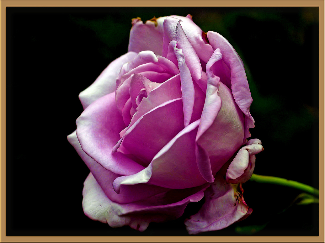 BLÜTE
