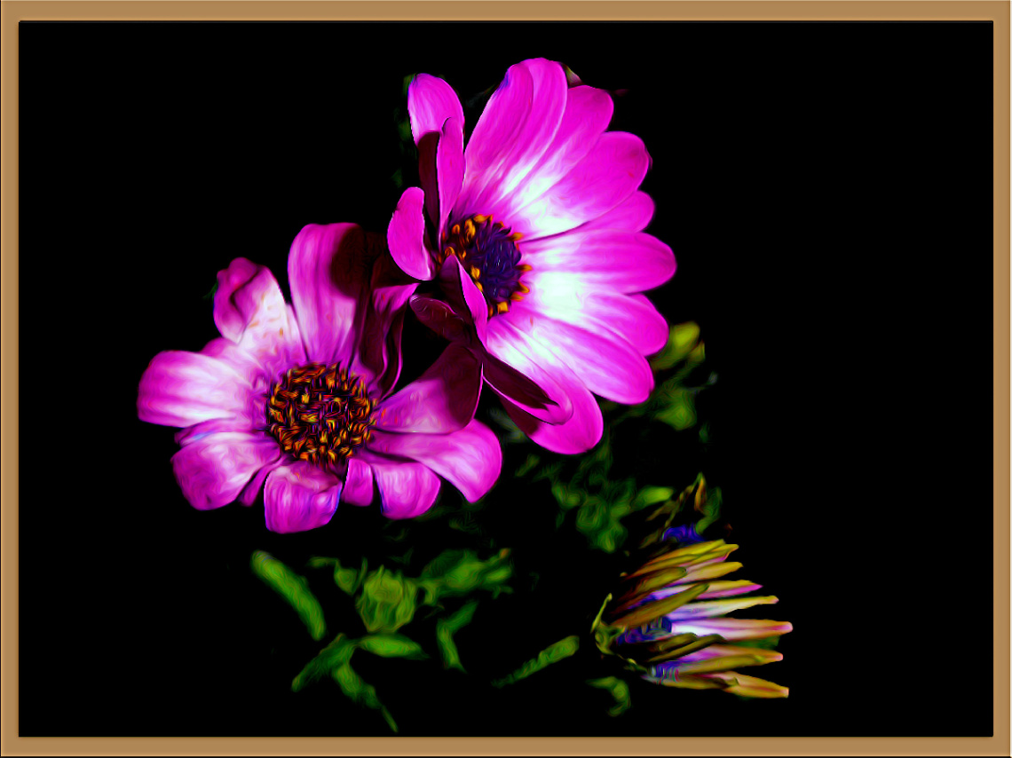 BLÜTEN