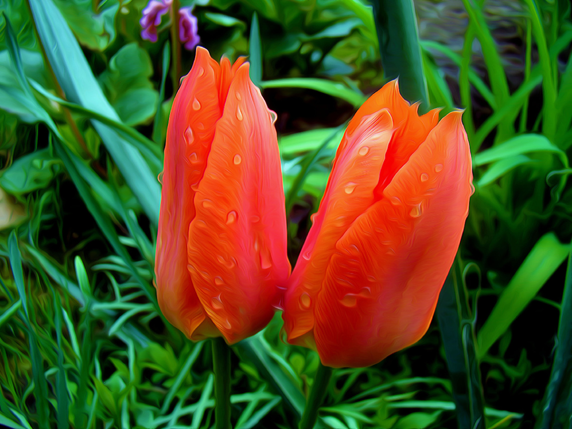 BLÜTEN