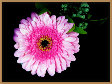 BLÜTE