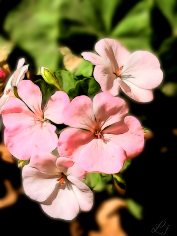 Smiling Nature 
