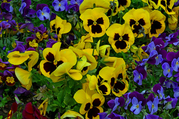 BLÜTEN