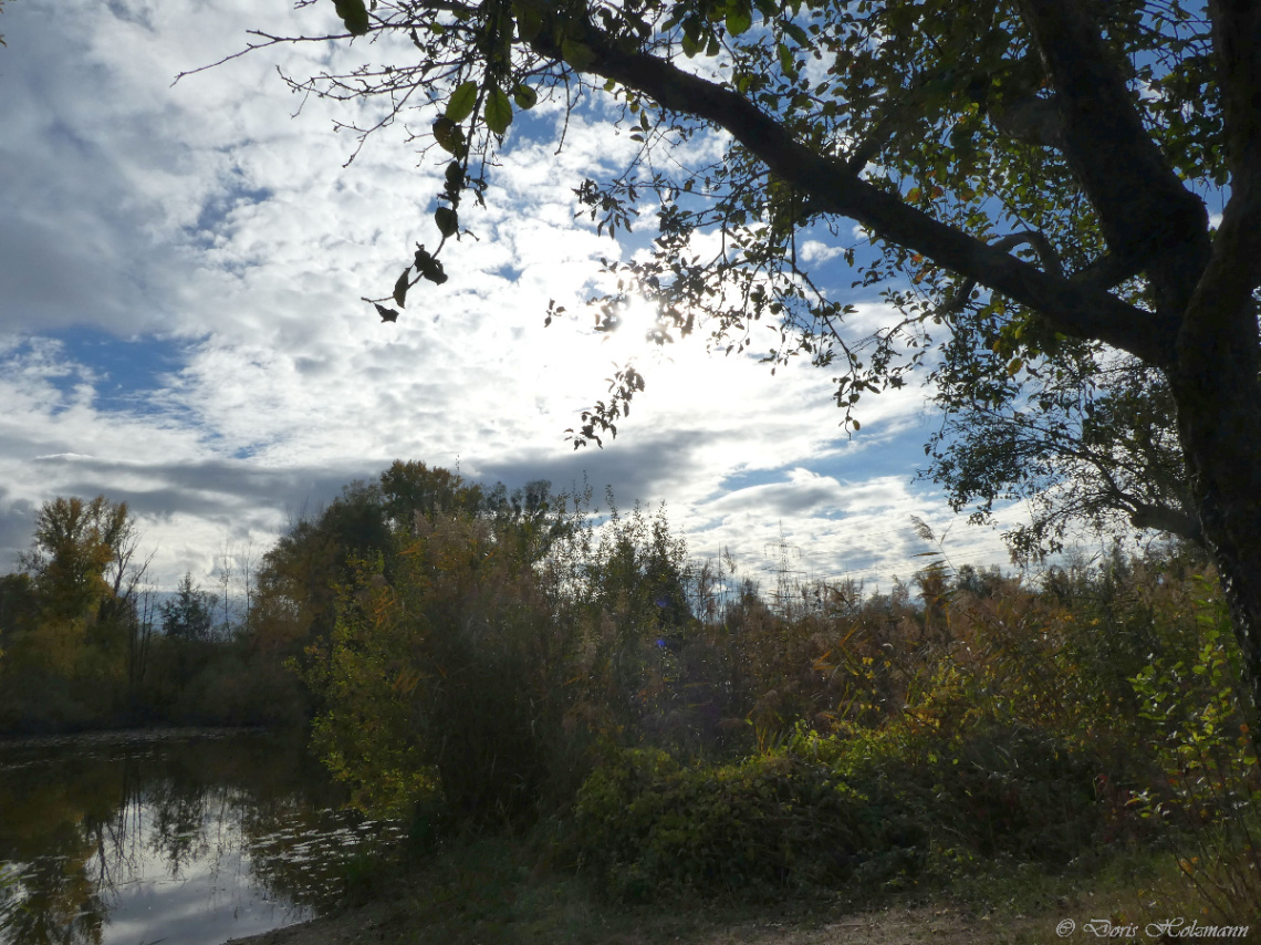 Fritschlach Nature Reserve, Karlsruhe / Germany