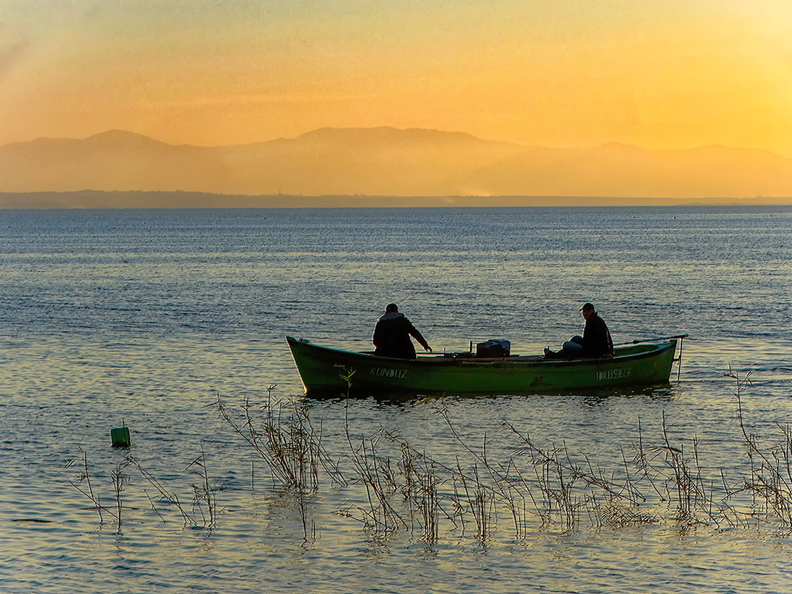Kuş Cenneti