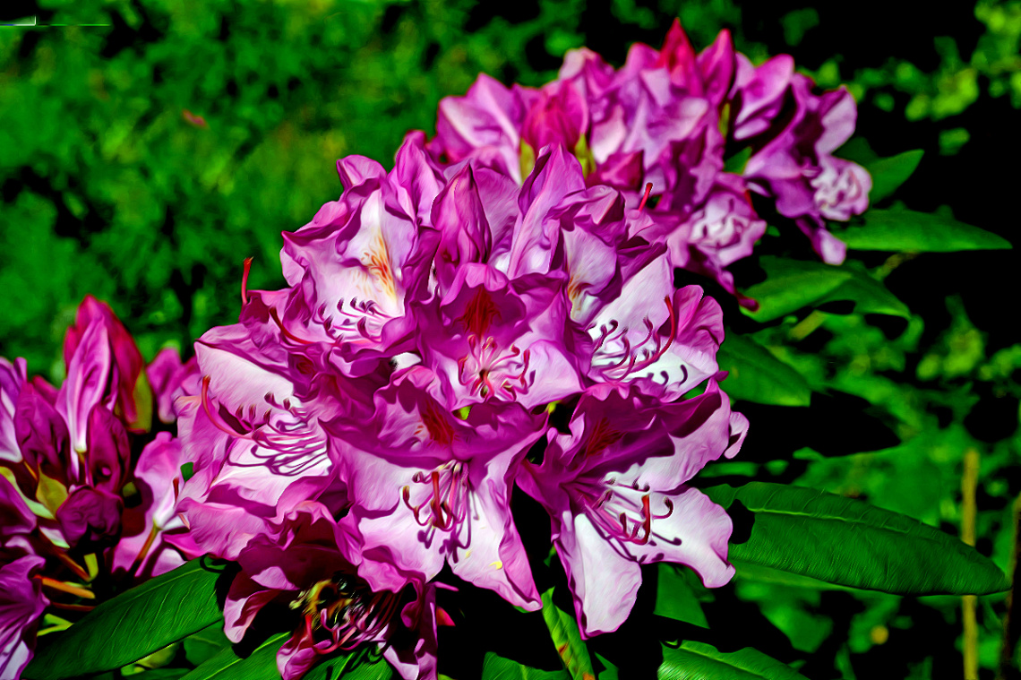 BLÜTEN
