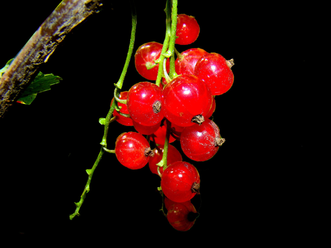 ROT