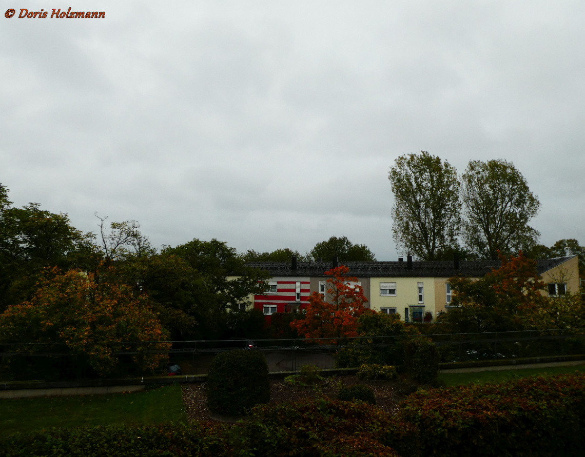 Autumn