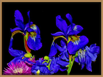 BLÜTEN