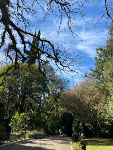 Serra Gaúcha - Nova Petropolis 