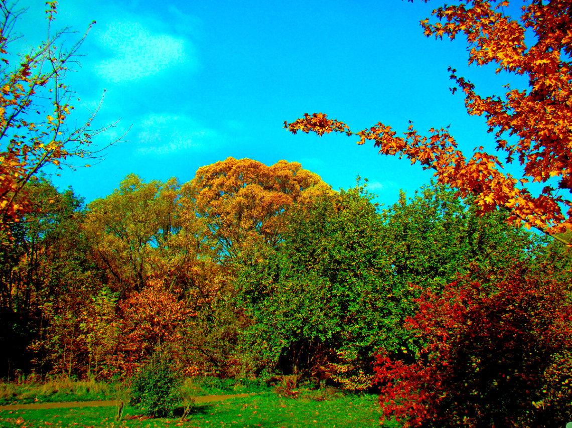 BUNT