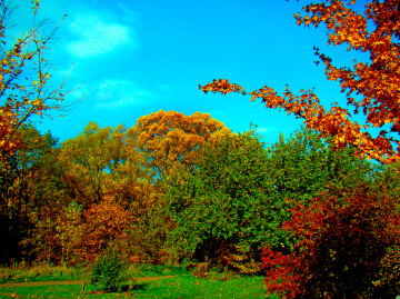 BUNT