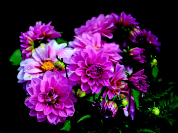 BLÜTEN
