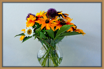 BLÜTEN