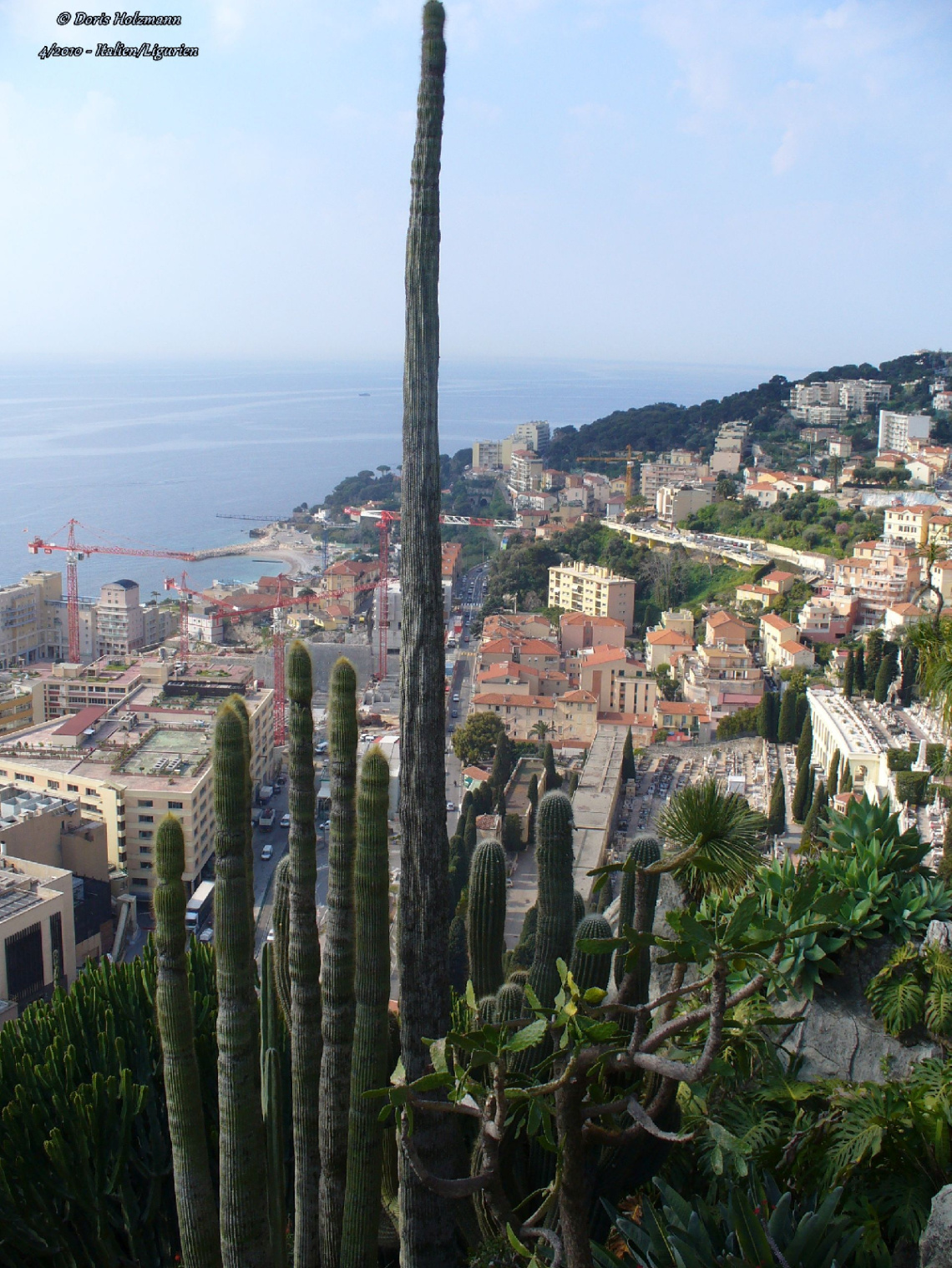 Cactus Garden Monaco with views of the city