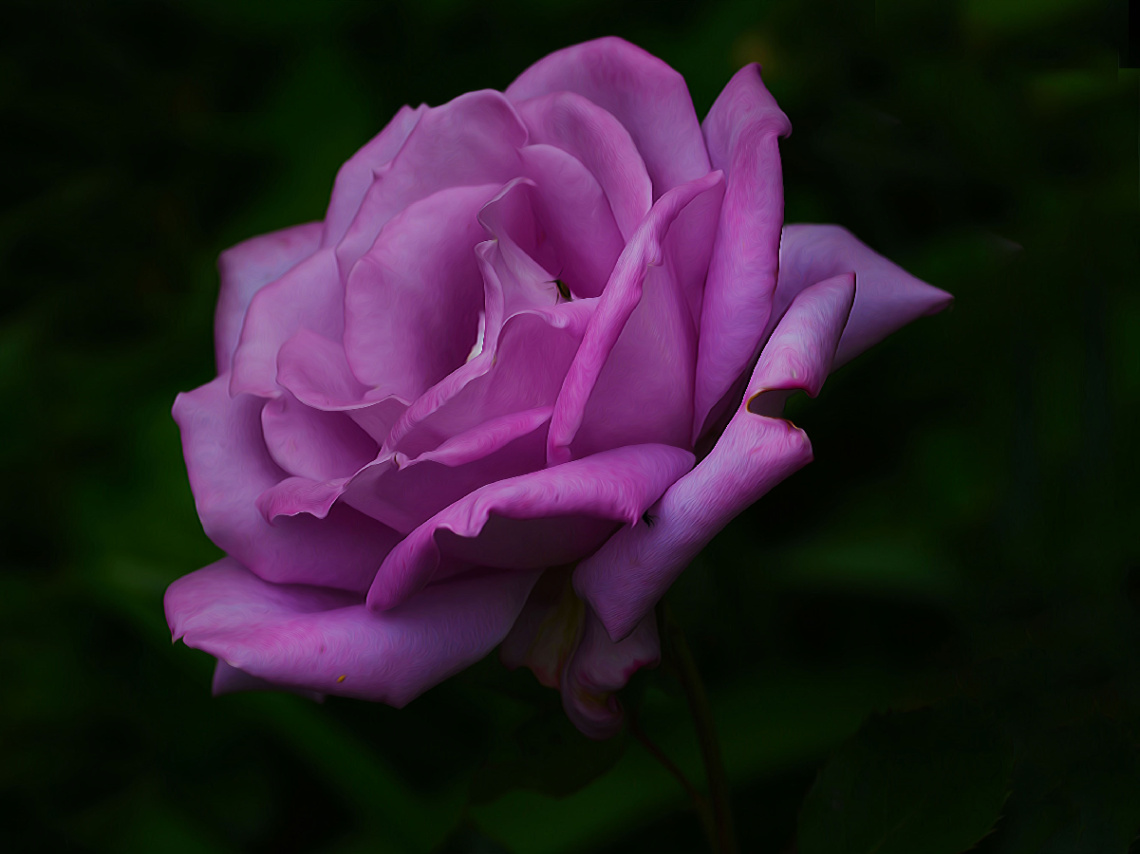BLÜTE