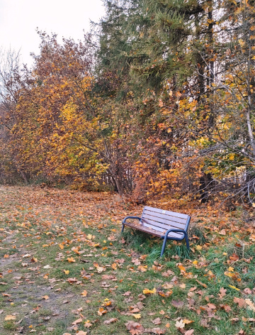 QUIET, AUTUMN DAY