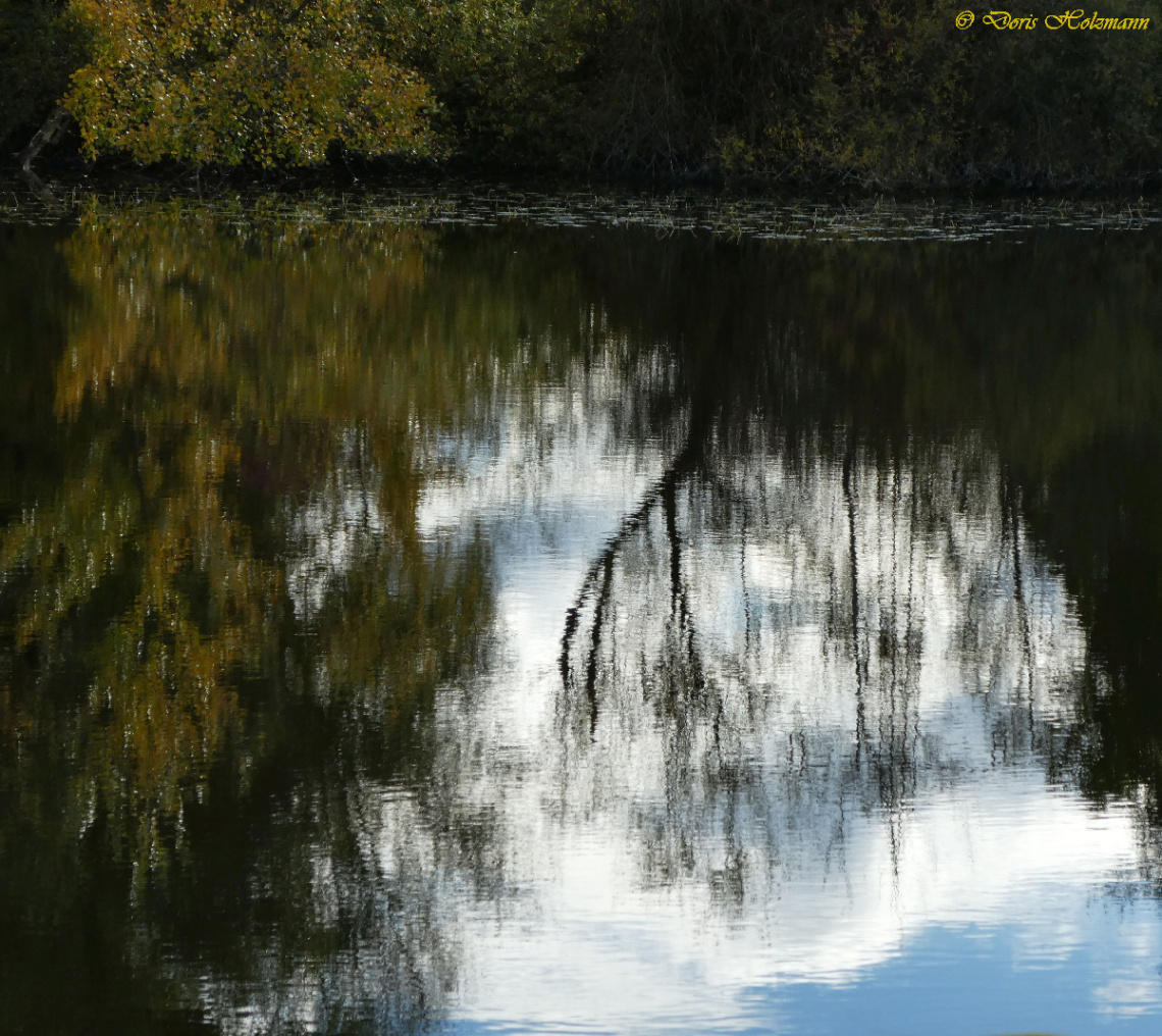 Reflection
