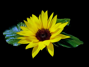 BLÜTE