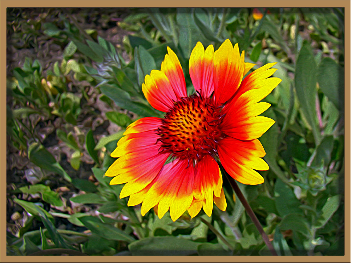 BLÜTE