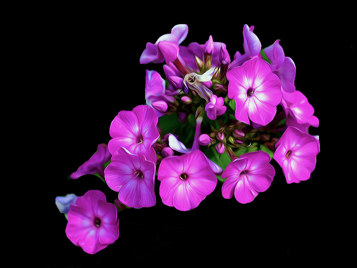 BLÜTEN
