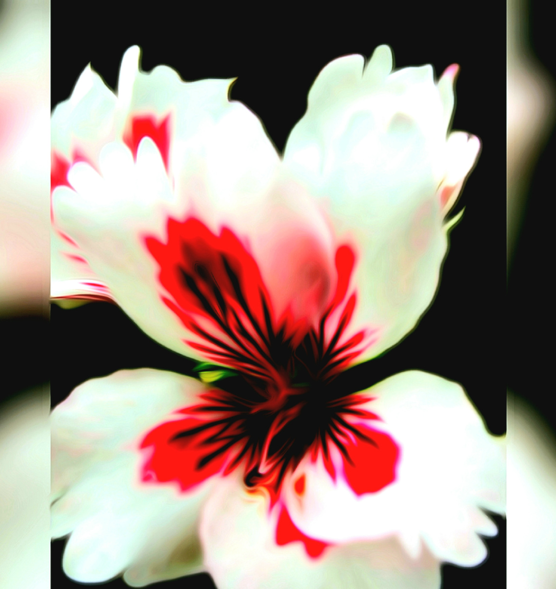 Nature's Paintwork 