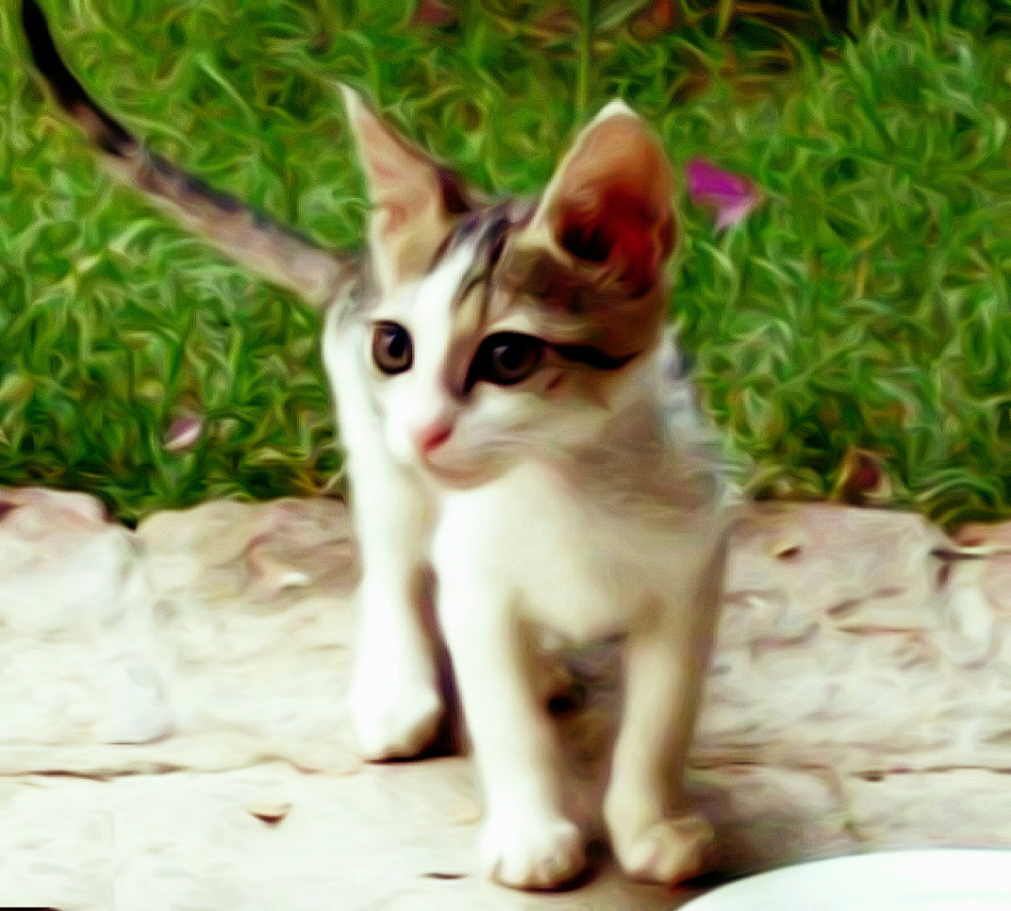 '' Beauty Queen '' 
