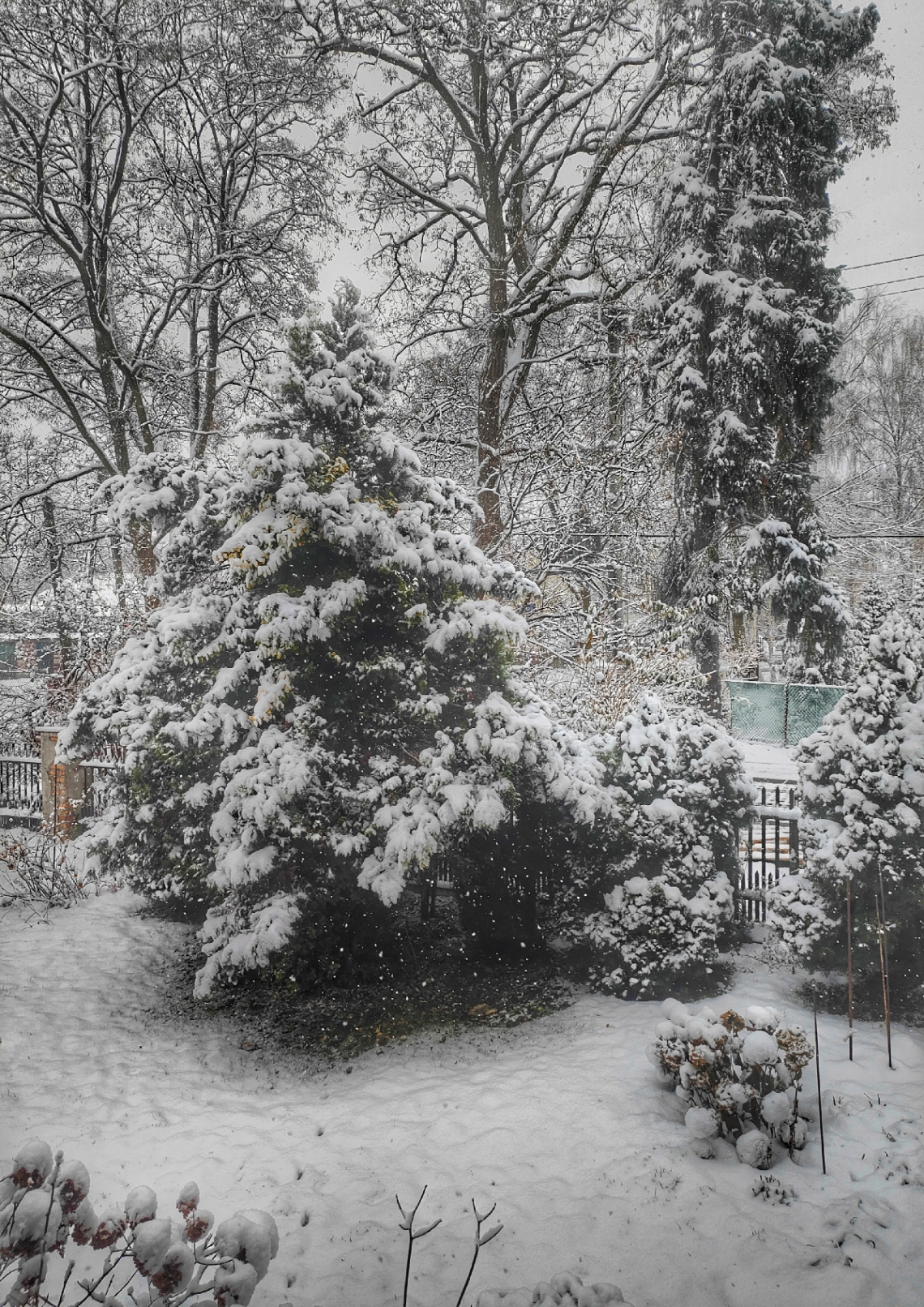 THE FIRST SNOW