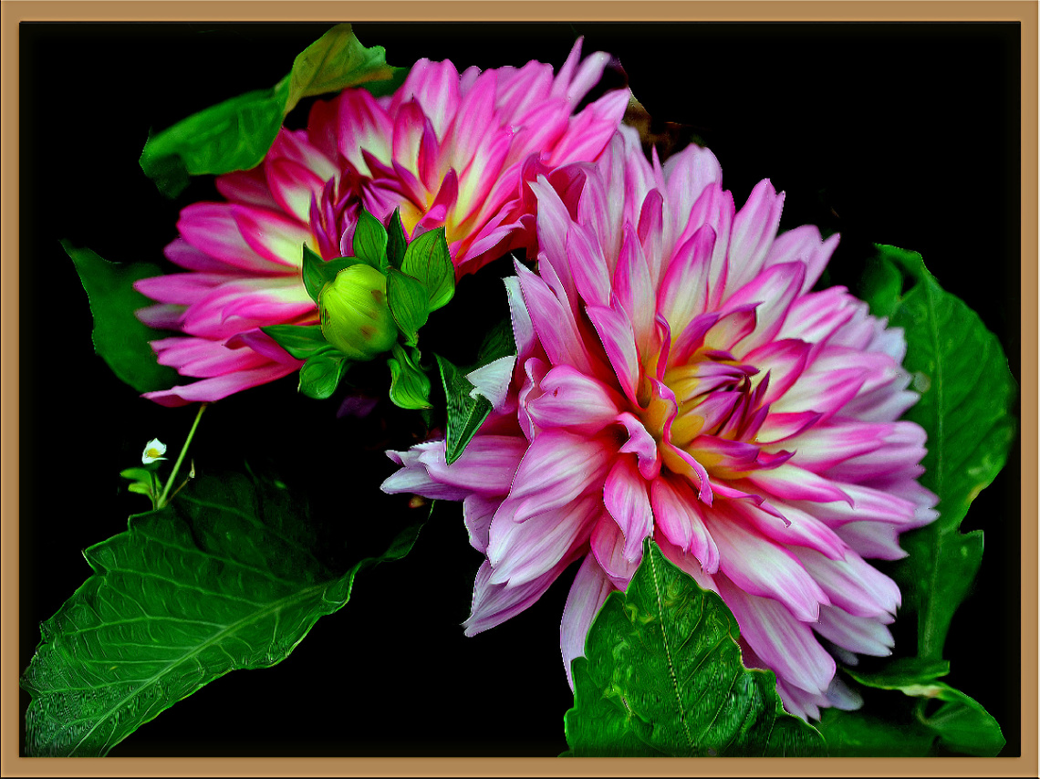 BLÜTEN
