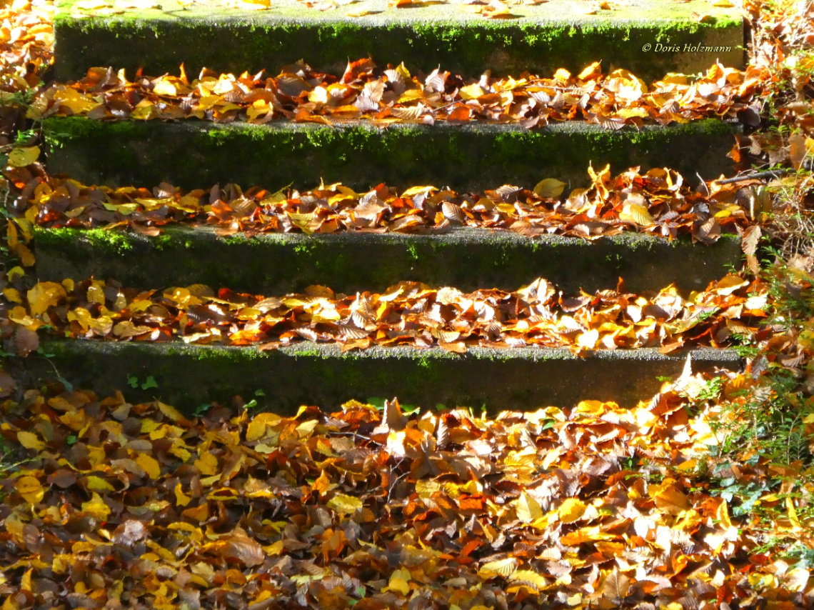 autumn