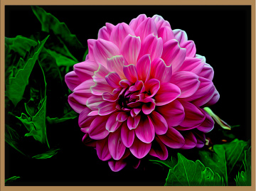 BLÜTE
