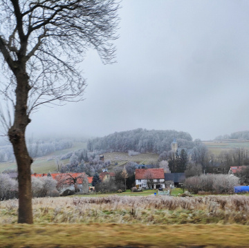 FROSTY AND FOGGY DAY