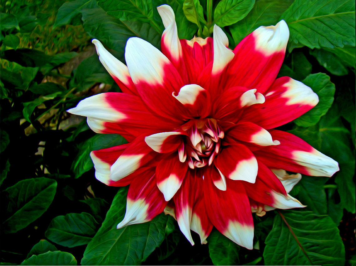 BLÜTE