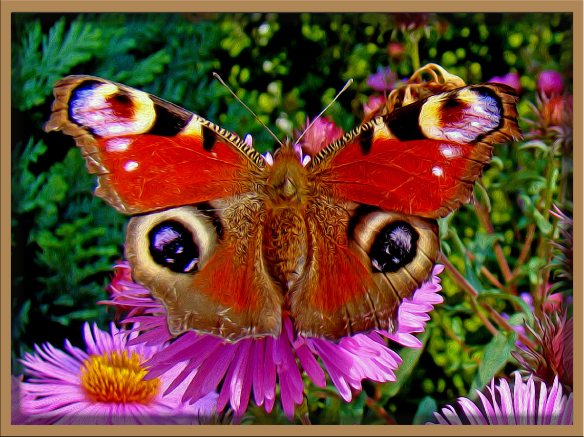 BLÜTEN MIT BESUCH