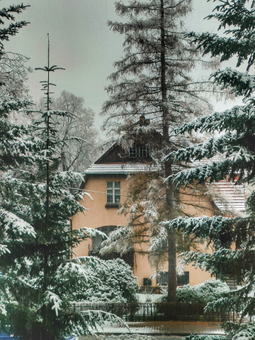 SNOWY COVER