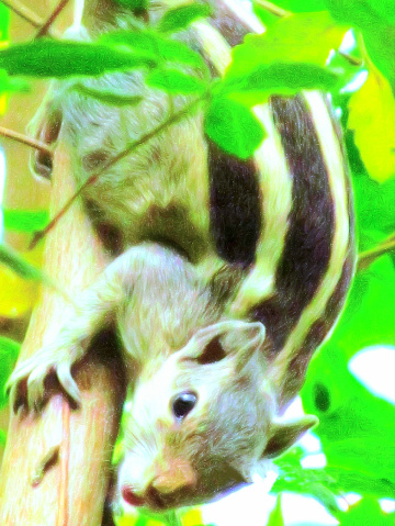 Me??? ❤️⚜❤️