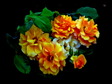 BLÜTEN