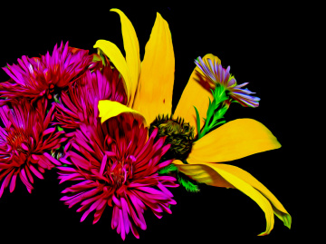 BLÜTEN