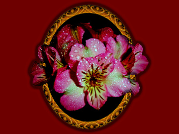 BLÜTEN