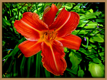 BLÜTE