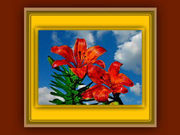 BLÜTEN
