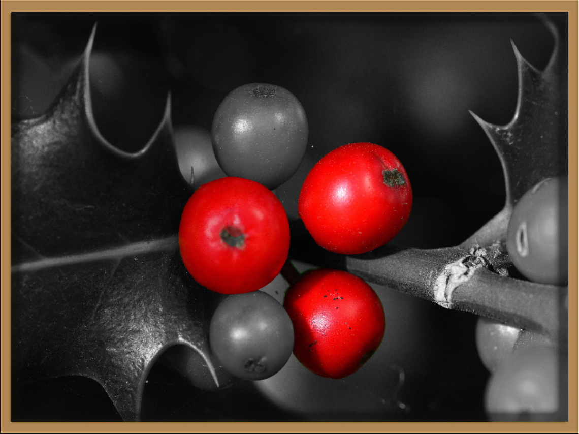 ROT  C/K